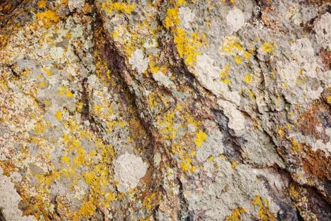 Mossy stone Stock Photos