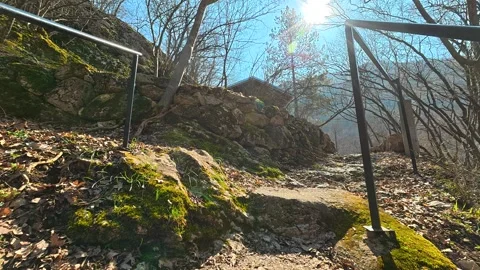 Mossy stone steps climb a quiet forest trail. Mount Ozren Видео 331527985