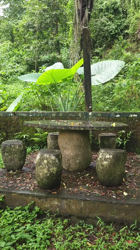 Mossy Stone Table and Stools in a Lush Tropical Jungle Stockbeeldmateriaal 332967842