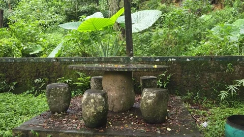 Mossy Stone Table and Stools in a Lush Tropical Jungle Видео 332968046