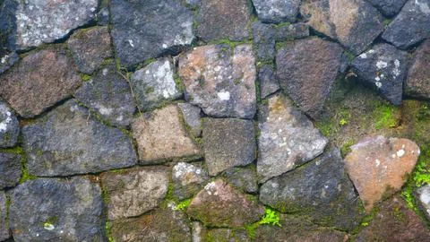 A mossy stone wall as a background Stock Photos