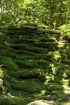 Mossy stone wall Stock Photos