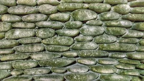 Mossy Stone Wall Stock Photos