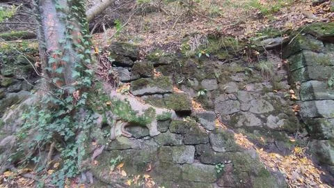 Mossy stone wall texture background landscape nature summer autumn green leav Stock Photos