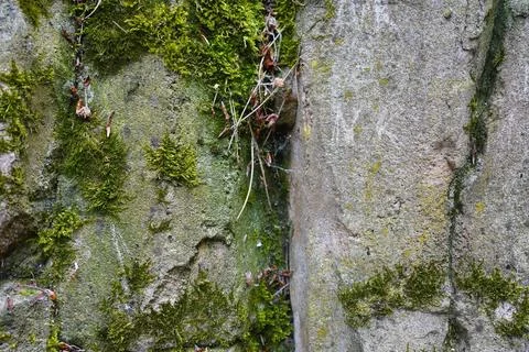 Mossy stone wall texture with deep rock crevice and weathered etched graffiti Stock Photos