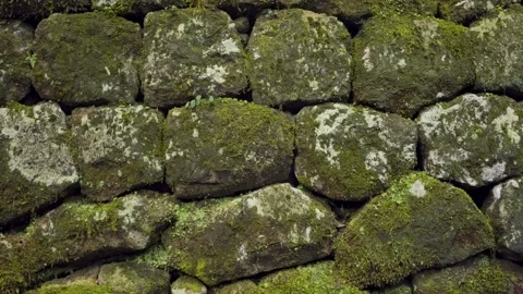 Mossy stone wall texture at Toshogu Shrine in Nikko, Japan Stock Footage 344010618