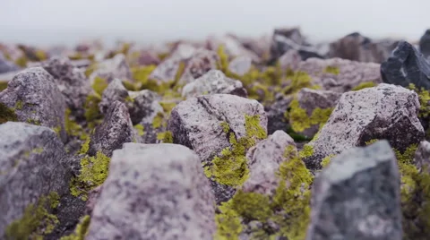 Mossy Stone Wall Top Pan Stock Footage 65096813