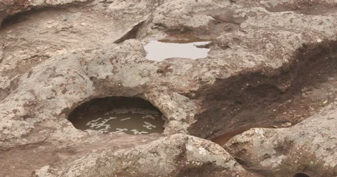 Mossy Stones in a Beach Stock Footage 335628214