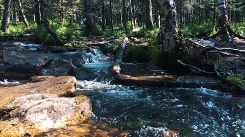 Mossy stream in mountains Stock Footage 94247619