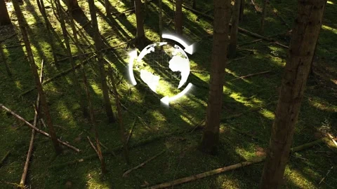 Mossy sunny forest with earth planet and arrows concept ecology Stock Footage 345683000