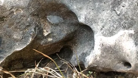 Mossy Textured Stone Formations 스톡 동영상 341263193