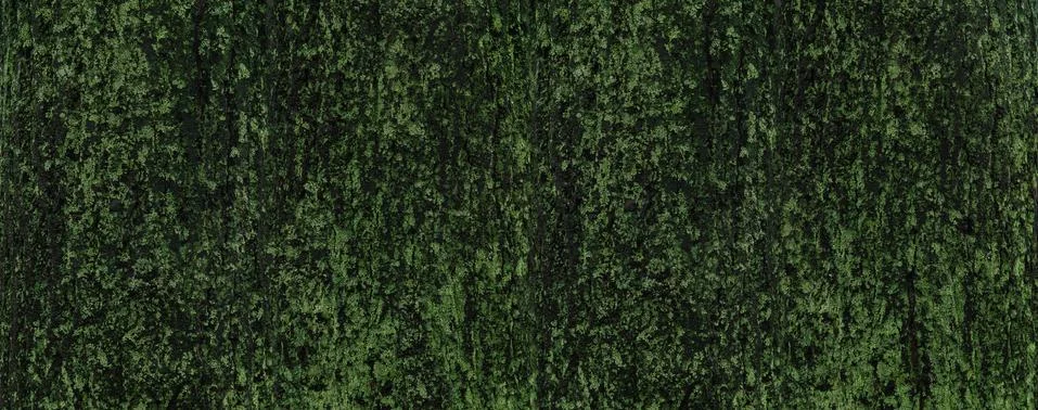 Mossy tree bark web banner Stock Photos