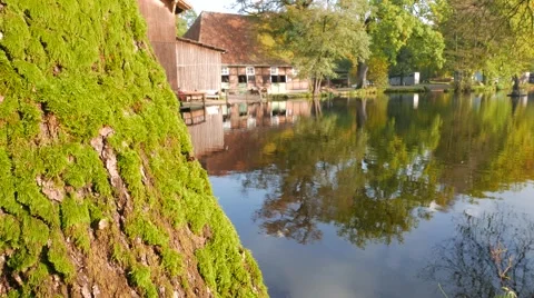 Mossy tree in front of a reflecting Pond and Stables Stock-Footage 56745611