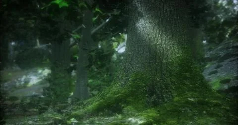 Mossy tree in soft sunlight, creating a tranquil forest scene Stock Illustration