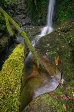 Mossy tree trunks fallen into the pools generated by a waterfall Stock Photos