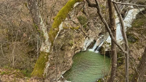 Mossy tree trunks frame a gentle waterfall. Vucjanka Canyon, Serbia Vidéo 332171824