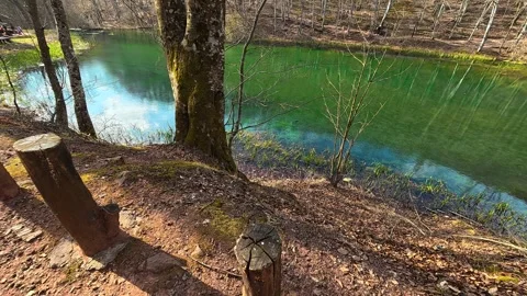 Mossy trees frame a vibrant, turquoise lake. Grza River Spring, Serbia Vidéo 332373952
