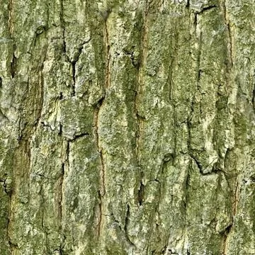 Mossy trunk texture, seamless pattern Stock Photos
