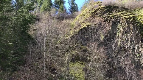 Mossy volcanic cliff face Vídeos de archivo 76504742