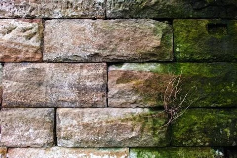 Mossy Wall Stock Photos