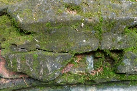 Mossy walls Foto stock