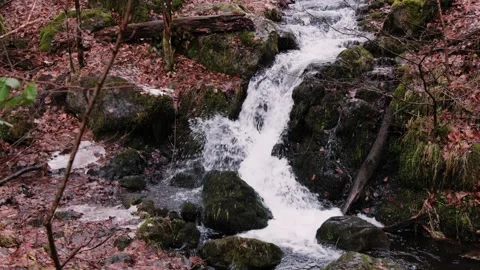 Mossy waterfall flowing over dark rocks into shallow forest pool with autumn Stock Footage 343562783