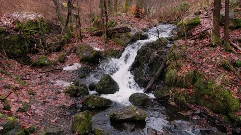 Mossy waterfall flowing over dark rocks into shallow forest pool with autumn Stock Footage 343885846