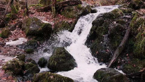 Mossy waterfall flowing over dark rocks into shallow forest pool with autumn Stock Footage 344563460