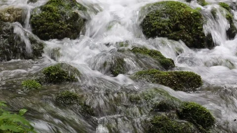 Mossy waterfall Stock Footage 125304593