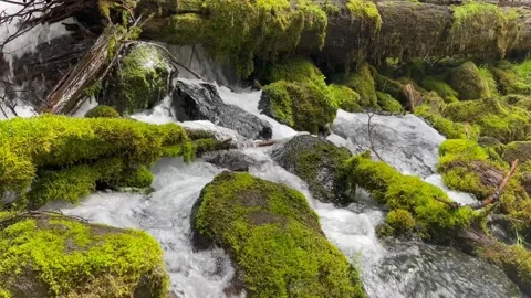 Mossy Waterfall Stock Footage 154982810