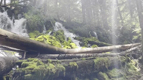 Mossy waterfall Stock Footage 156665034