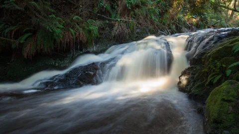 Mossy Waterfall Pan Timelapse 4k 動画素材 99379218