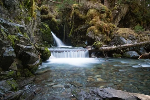 Mossy Waterfall Slider Timelapse Видео 87056033