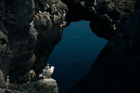 The most famous rock formation in the Arnarstapi area is Gatklettur, Hole Roc Stock Photos