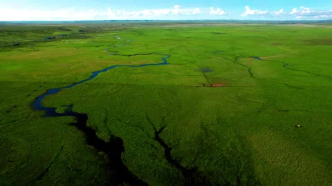 The most healing grassland 2 Stock Footage 289169071