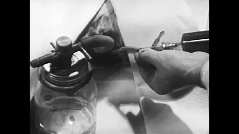 Most information about the heart has been gained through experimentation by Stock Footage 74700964