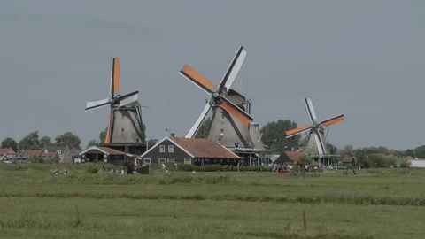 Most typical landmark in the Netherlands - the Windmills Stock Footage