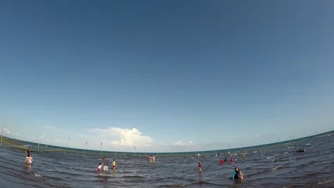 Mostly children having fun bathing in the sea during hot summer. tracking shot Video stock 88653136