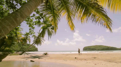 The mostly deserted beach of La Sagesse, Grenada Stock Footage 24500624