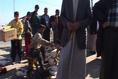 Mosul, Iraq; MS Crowd gathered around man selling live ducks on sidewalk Video stock 86753152