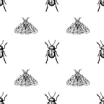 Moth and bettle hand drawn. Seamless pattern Stock Illustration