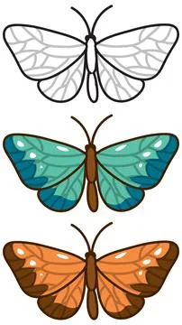 Moth and Butterfly Vector Illustrations with Outlines and Color Variations Stock Illustration