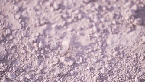 Moth Bug Close Up Dusty Texas Desert Gravel Dirt Crawling Depth Of Field Stock Footage 88636889