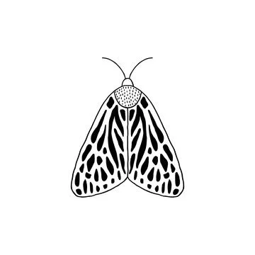Moth in doodle style Stock Illustration