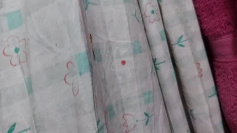 A moth is eaten by a lizard Stock Footage 270106501