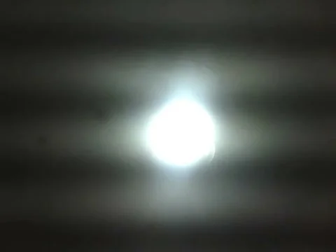 Moth flies around the fluorescent light and leaves Stock Footage 166430748