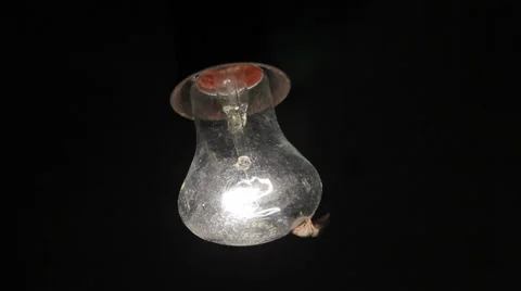 Moth Flying Around Light Bulb Lamp HD Stock Footage 28665804