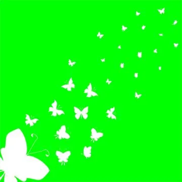 Moth Stock Illustration