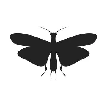 Moth Stock Illustration