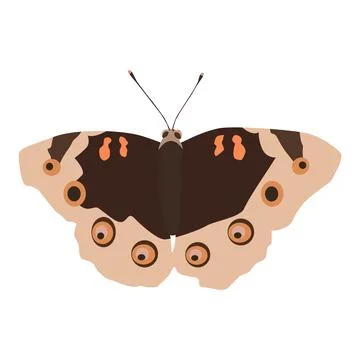 Moth Stock Illustration